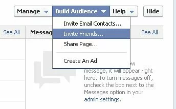 Increase fans for your Facebook Page, Build Audience